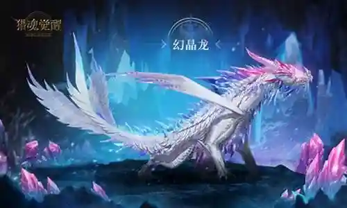 幻晶龙阵容搭配插图