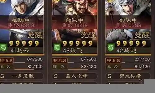 张飞赵云马超阵容搭配插图