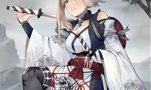 fate盾娘阵容搭配插图