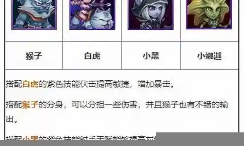 传奇刺客阵容搭配图插图