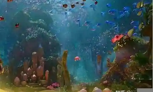 海底冒险最强阵容搭配插图