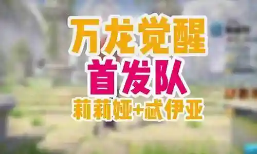 西天飞行阵容搭配推荐图插图