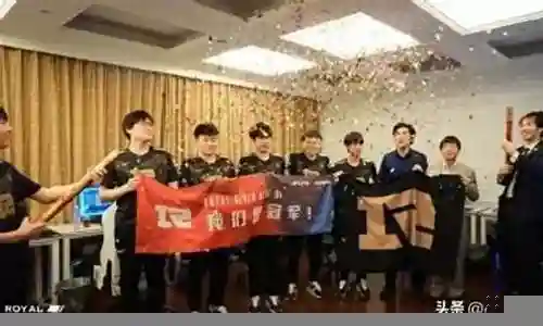 上单小虎阵容搭配图解插图