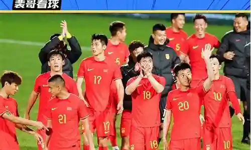 扬科维奇国足阵容搭配插图