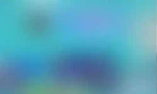 暗黑2笔记本怎么显示装备插图