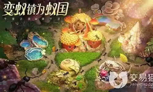 小小蚁国采集队阵容搭配插图