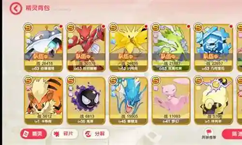 口袋觉醒什么阵容配黑龙插图