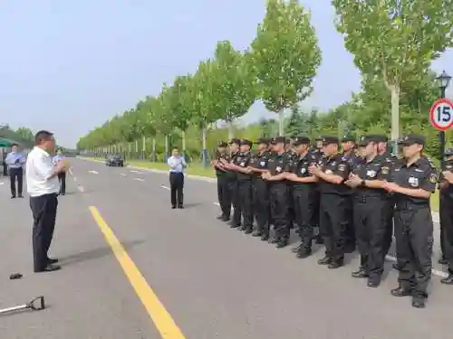 双保安阵容插图