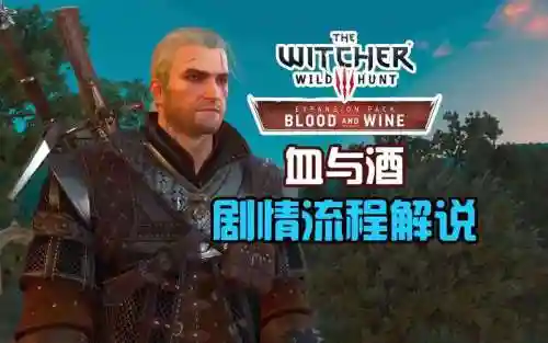 巫师3血与酒刷装备插图1