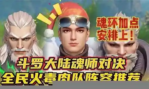 火毒肉阵容魂环搭配插图
