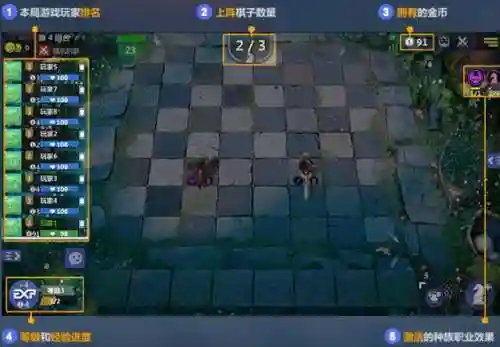 巨鸟多多自走棋法师攻略插图1