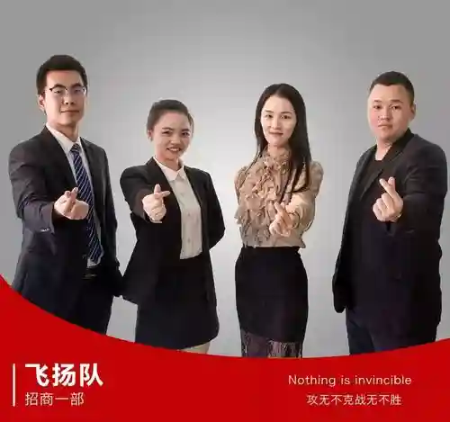 市场团队阵容插图1