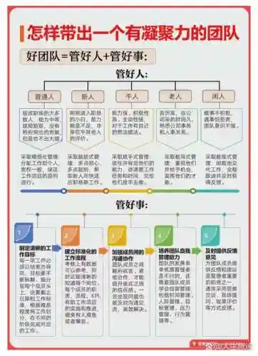 管理阵容名单插图1