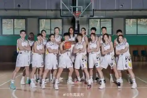 东莞巅峰阵容插图