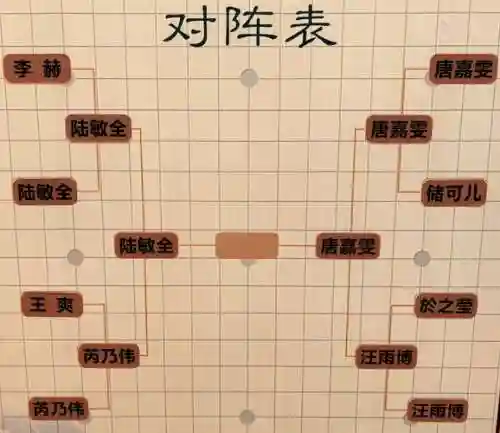 三虚数阵容插图