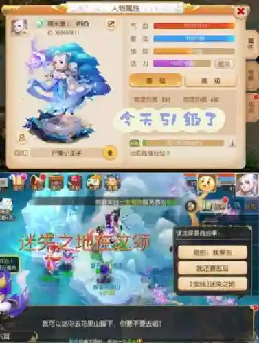 新手玩梦幻西游哪个区好插图