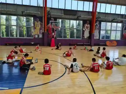 篮球阵容训练