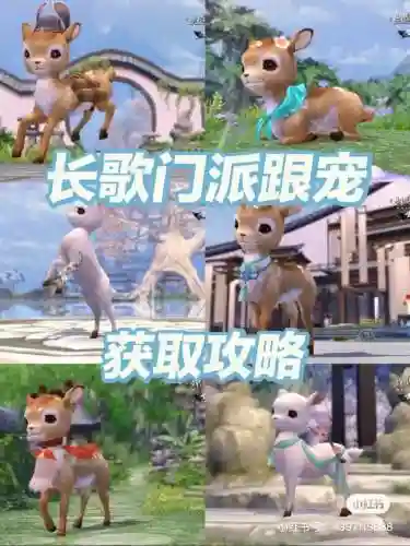 剑3跟宠攻略插图