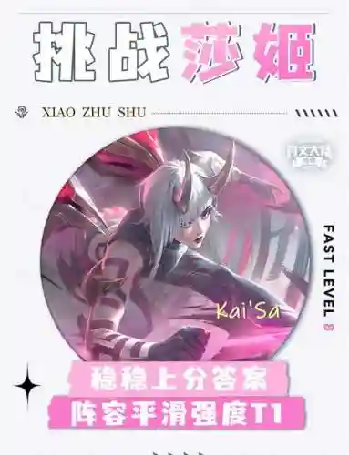 阵容莎姬插图1