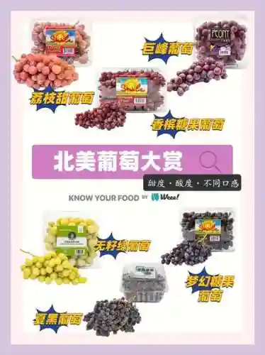 葡萄的阵容搭配插图