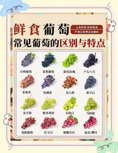 葡萄的阵容搭配插图1