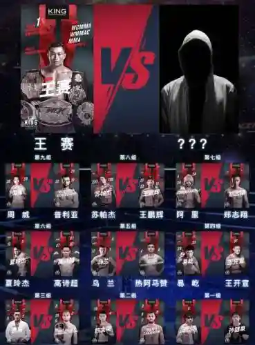 格斗选手阵容搭配插图