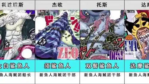航海王ol鱼人队阵容搭配插图