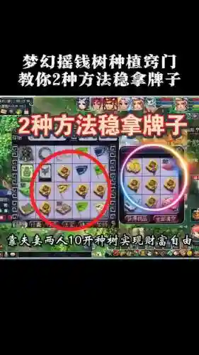 梦幻西游种树苗能种几个能一起收插图