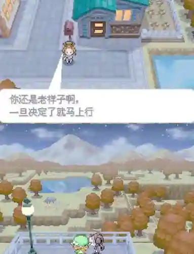 口袋妖怪黑2冠军攻略插图