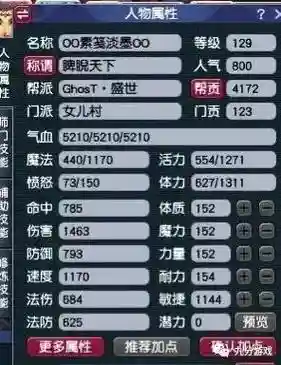 梦幻西游129级敏tg输出插图
