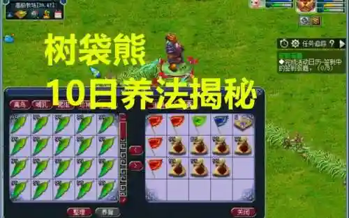 梦幻西游树袋熊幼年期插图1