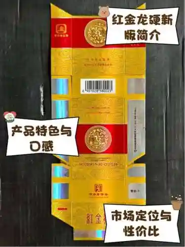 红龙硬盒攻略插图