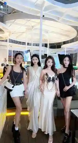 美女最多阵容插图