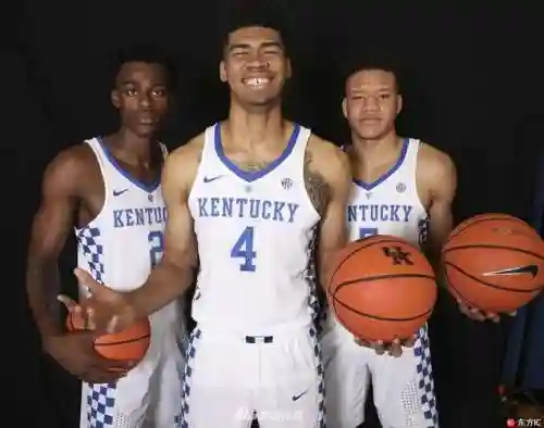 ncaa肯塔基阵容插图