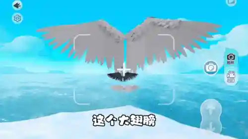 翅膀搭配什么技能好
