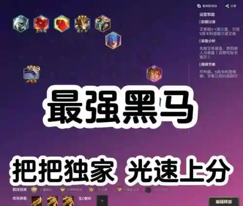 人马黑马阵容插图