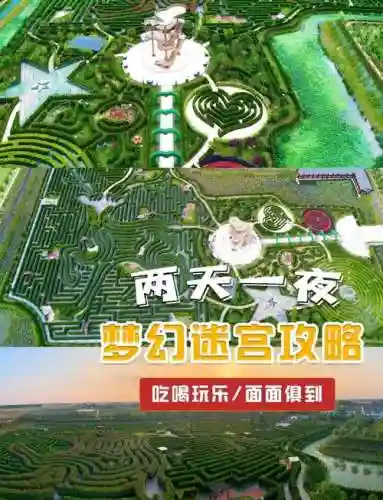 梦幻手游迷宫攻略插图