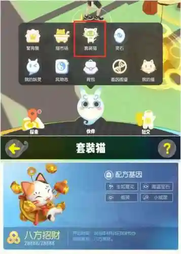 套装猫攻略插图