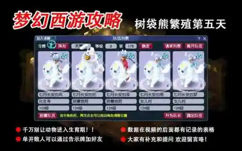 梦幻西游树袋熊幼年期插图