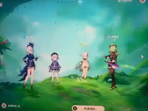 水仙阵容搭配插图1