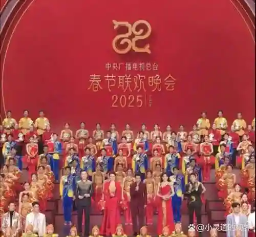 cctv晚会阵容插图