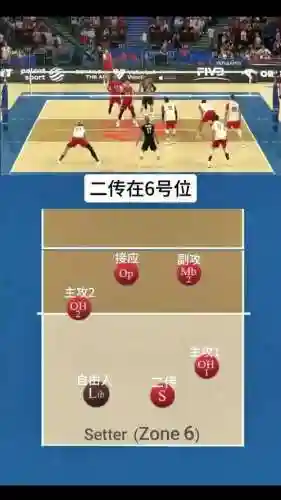 总结排球阵容插图1
