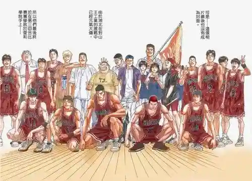 阴阳赤木阵容插图
