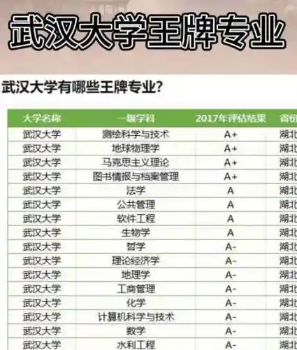武大最强阵容插图