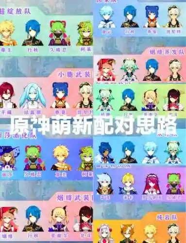 紫菀神恩阵容插图1