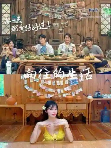 向往生活4最强阵容搭配