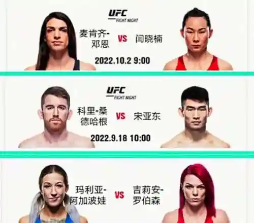 合作279阵容_1