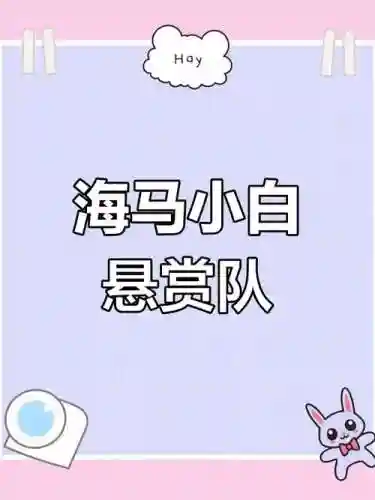 小白海马阵容插图1