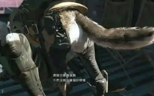 合金装备5怎么看dd插图