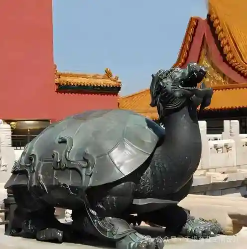 龙龟的w技能是护盾吗_1